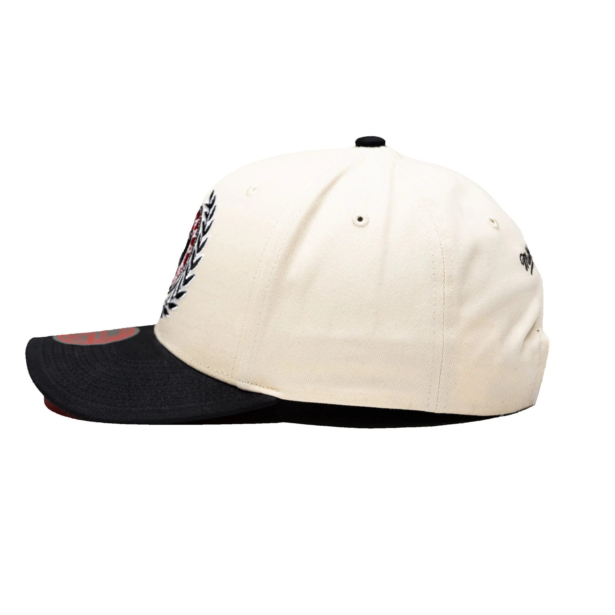 Mitchell & Ness Pro Crown Fit Collegiate Pro Snapback